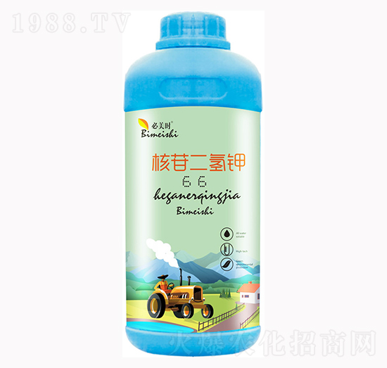 ���ն����-�����r(sh��)-�f(w��n)���r(n��ng)��