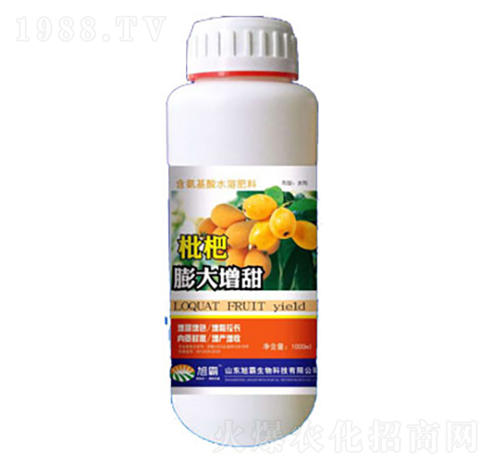 �����������-�������