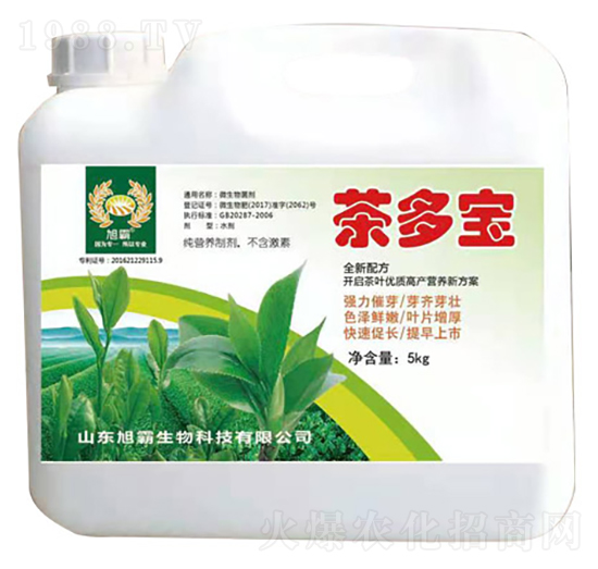 �����-�������