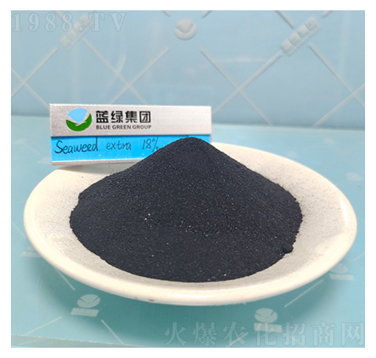 海藻精粉-愛普斯化工