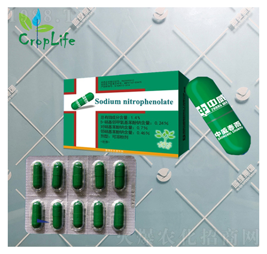 春雨1號（膠囊）-愛普斯化工