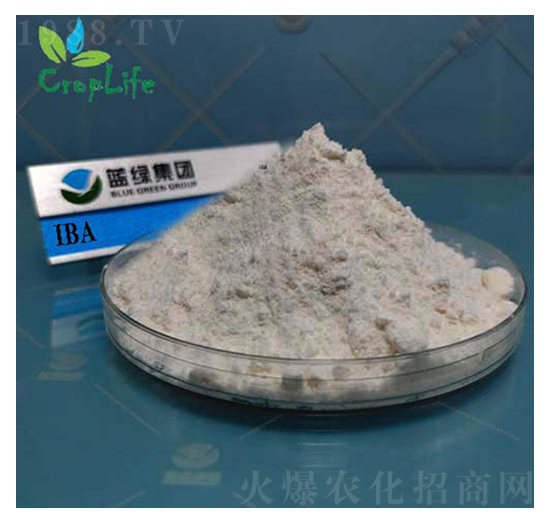 吲哚丁酸-愛普斯化工