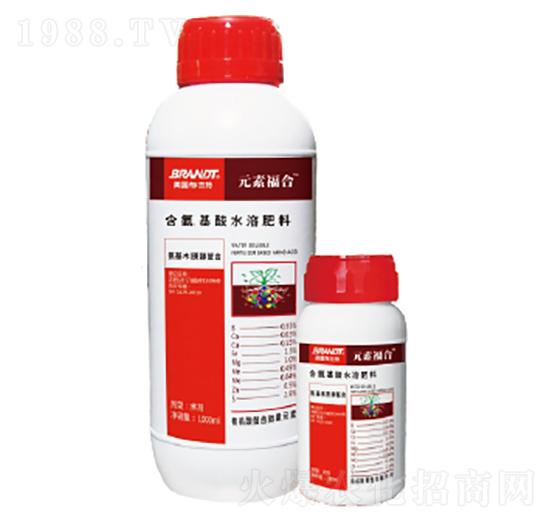 元素福合-隆戈爾