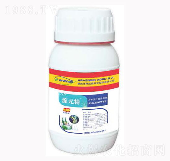 ��Ԫ��-¡�ꠖ