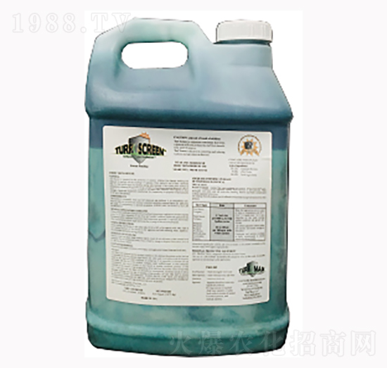 TS����-¡�ꠖ