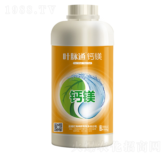 �~�}ͨ���}�V-���컯