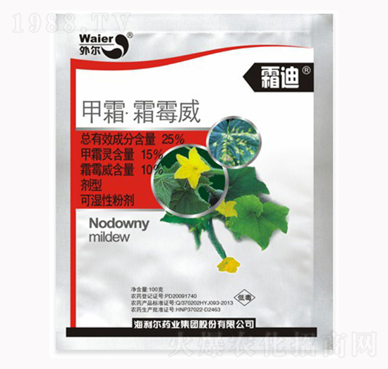 25%��˪��˪ù��-˪��-������