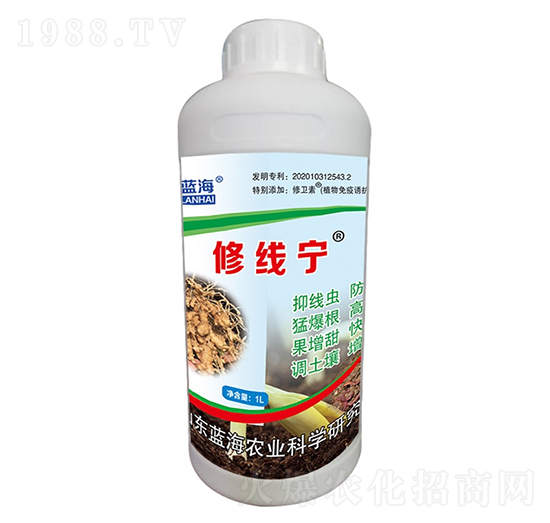 修線寧-藍(lán)海