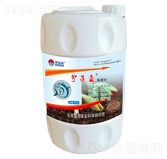 分子魚魚蛋白-藍(lán)海