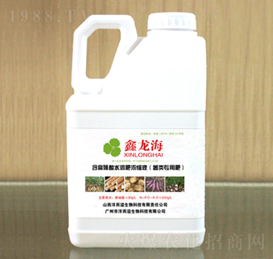 薯類專用含腐植酸水溶肥濃縮液-鑫龍海-洋而溢生物
