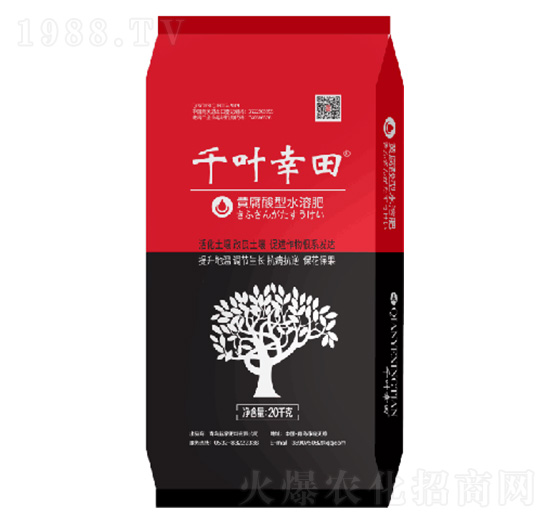 黃腐酸鉀水溶肥-千葉幸田-起家