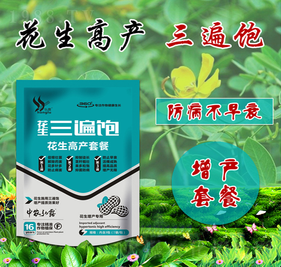 花生高產(chǎn)套餐-花生三遍飽-田小超