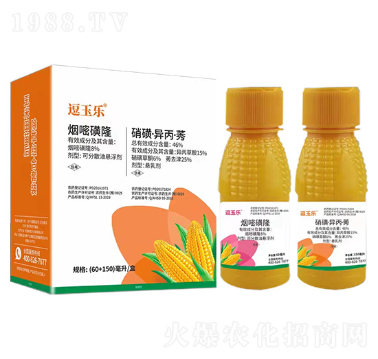 �����������݄��M�����b-����(l��)-(li��n)���r(n��ng)�I(y��)