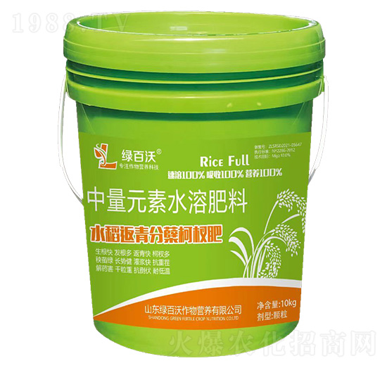 水稻返青分蘗柯杈肥-綠百沃
