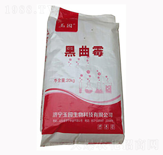 黑曲霉-長(zhǎng)泰生物