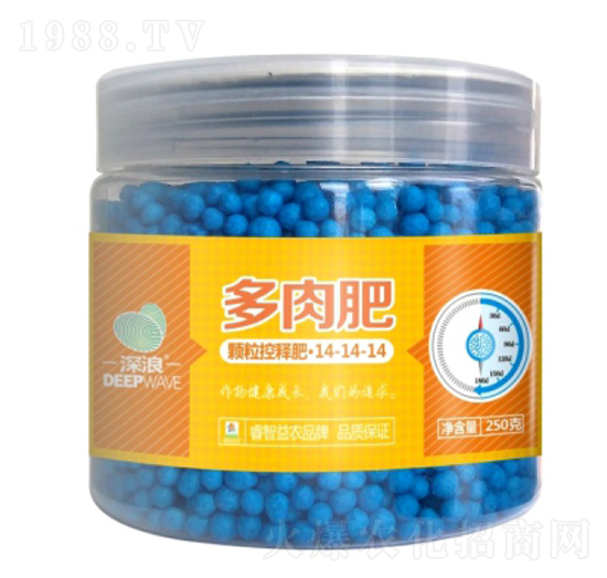 多肉型顆?？蒯尫?睿智益農(nóng)