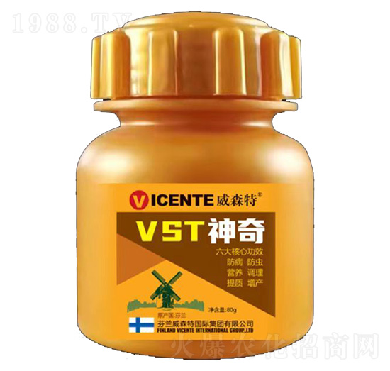 VST����-��ؐ��