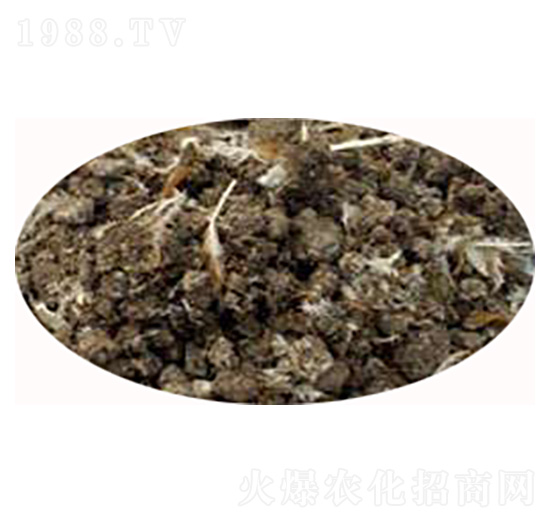 福建新型干雞糞-強(qiáng)農(nóng)肥業(yè)