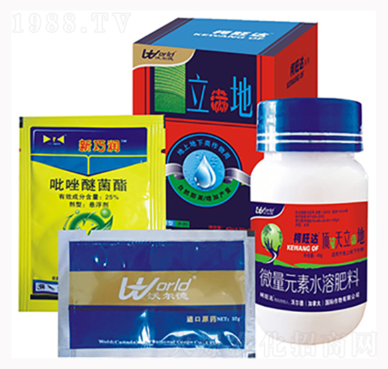 立滿地-柯旺達(dá)-沃爾德