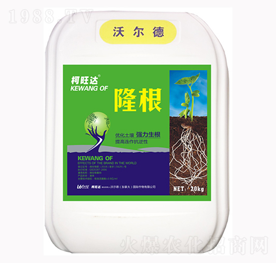 隆根-柯旺達(dá)-沃爾德