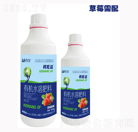 草莓專用葉面肥-柯旺達(dá)-沃爾德