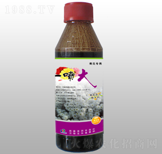 菊花活力膨大劑-一噴大-賽陽(yáng)農(nóng)化