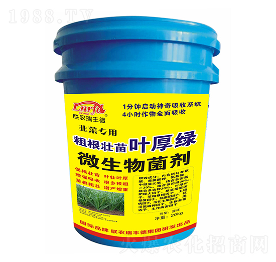 韭菜專用粗根壯苗葉厚綠-聯(lián)農瑞豐德