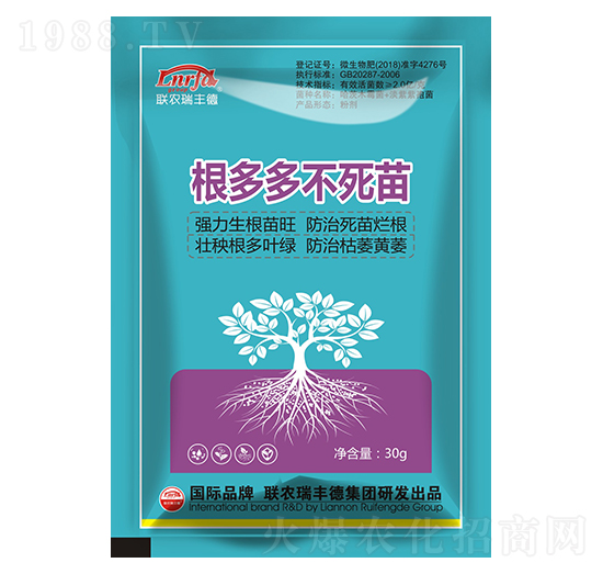 根多多不死苗-聯(lián)農(nóng)瑞豐德