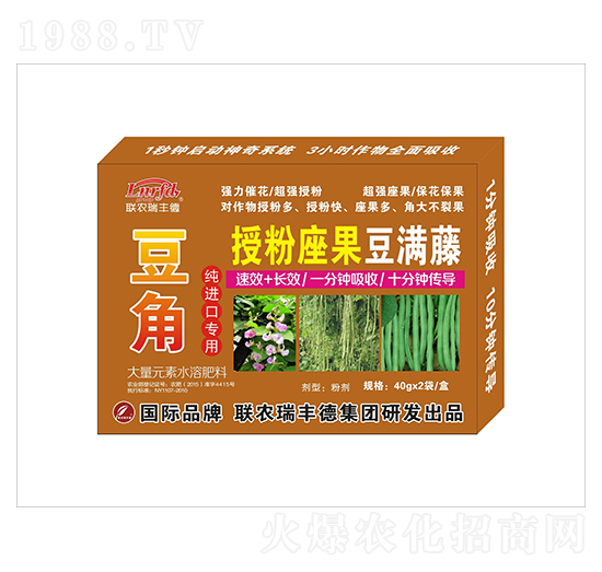 豆角純進口專用授粉座果豆?jié)M藤-聯(lián)農(nóng)瑞豐德