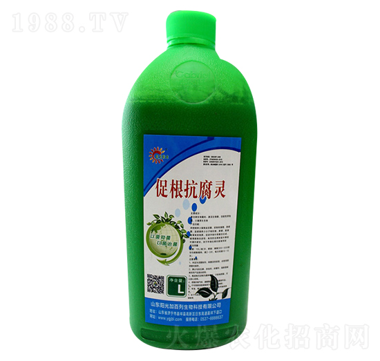 促根抗腐靈-陽(yáng)光加百列