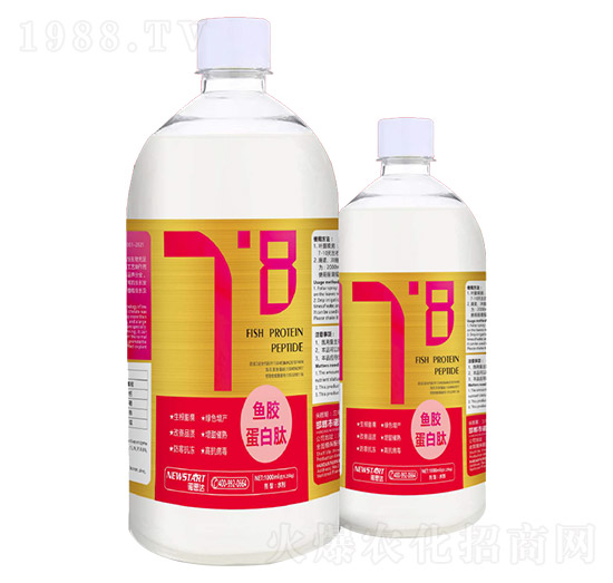 魚膠蛋白肽-諾思達