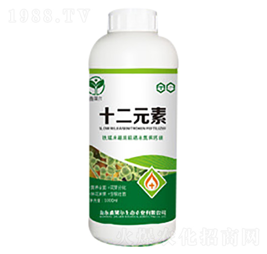 十二元素-鑫萊爾