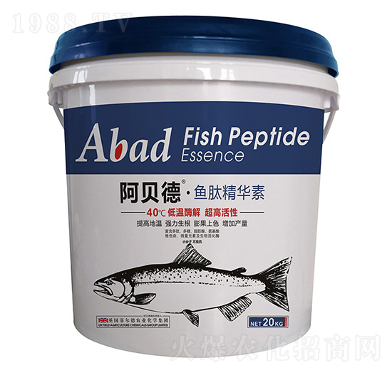 �~�ľ��A��-��ؐ��-�Ɲ��r(n��ng)��