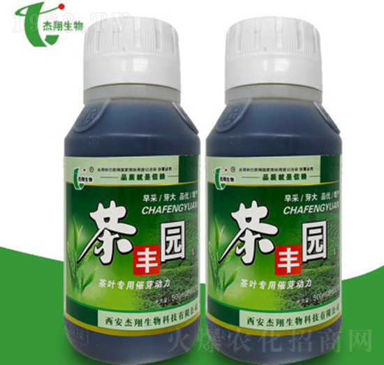 ���~��ѿ��-���S�@-��������