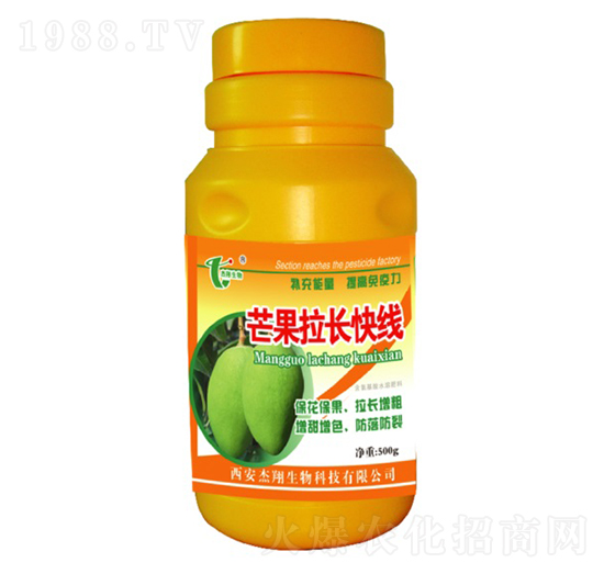 â�����L�쾀-��������