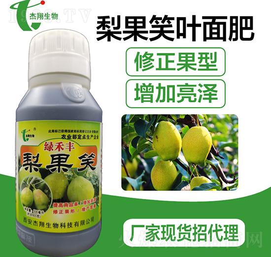 ����S�~���-��������