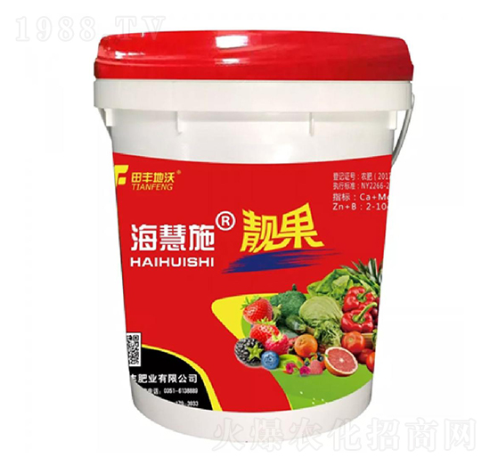 �n��-����ʩ-���S����