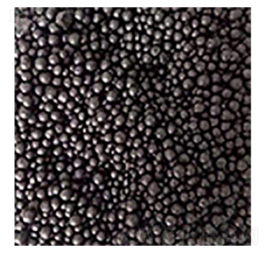 大豆有機(jī)肥-九潤(rùn)農(nóng)業(yè)