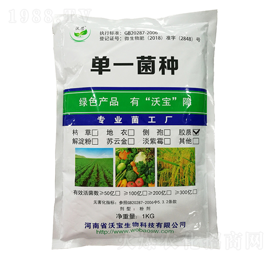 膠質(zhì)芽孢桿菌-沃寶生物