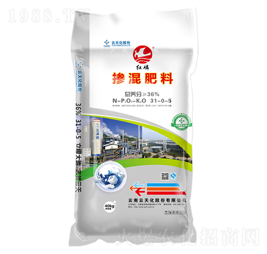 �������31-0-5-�t��-���o����