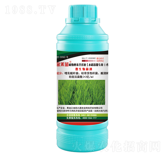 水稻苗期專用植物酵素營養(yǎng)液-金禾苗-田之源