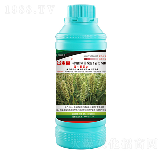 麥類(lèi)專(zhuān)用植物酵素營(yíng)養(yǎng)液-金禾苗-田之源