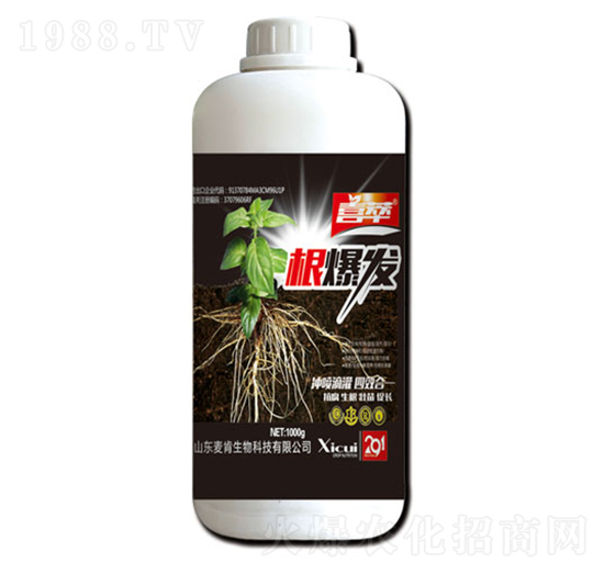 �����l(f��)-��������