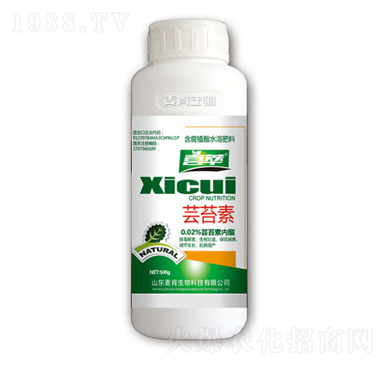 �|̦��-��������