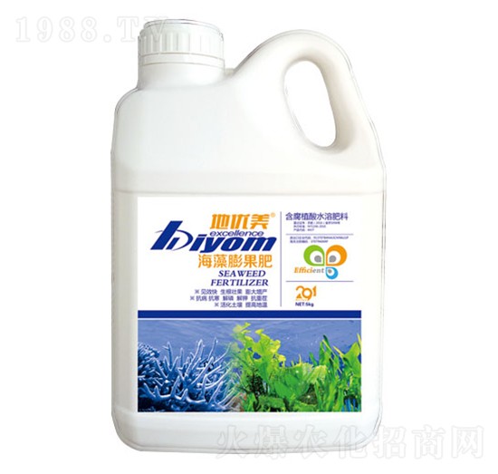 ���������-��������