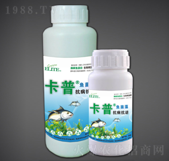 抗病抗逆型酶解魚蛋白-綠金高新