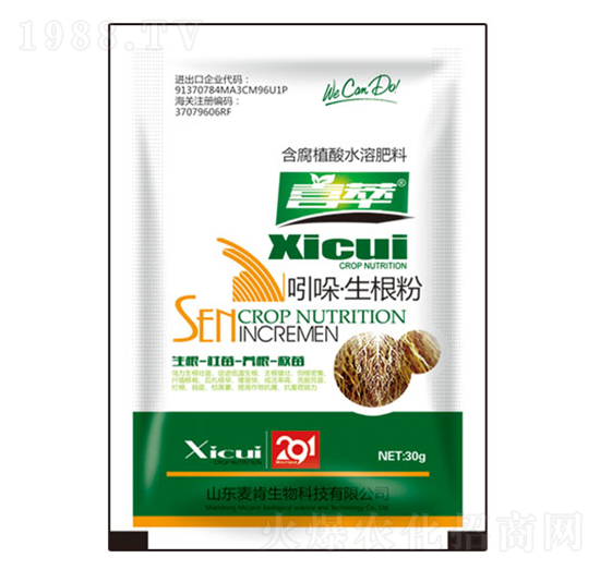 ����������-��������