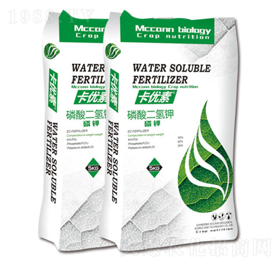 ����(y��u)����������-��������