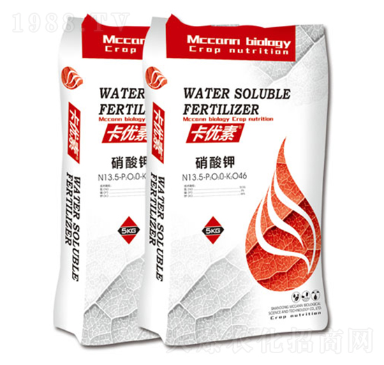 ����(y��u)�������-��������