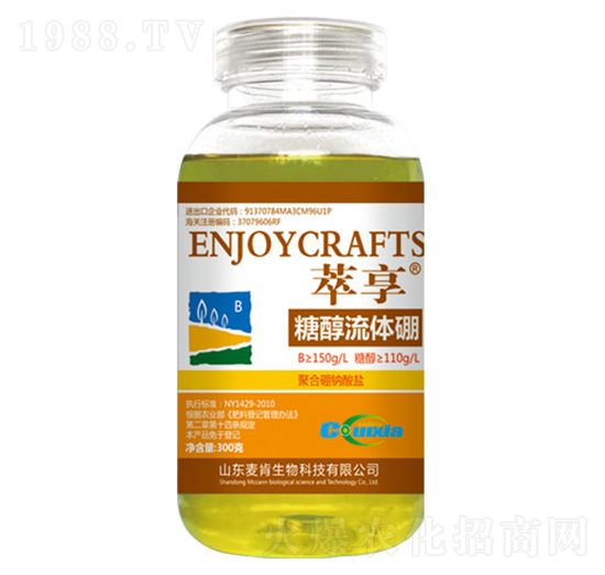 �Ǵ����w��-��������